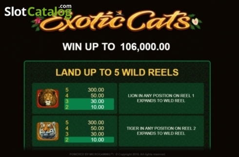 235% Casino Welcome Bonus at Dunder Casino
