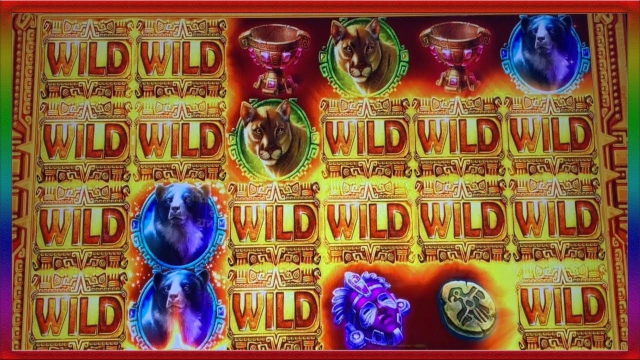 EURO 465 Free Cash at Dunder Casino