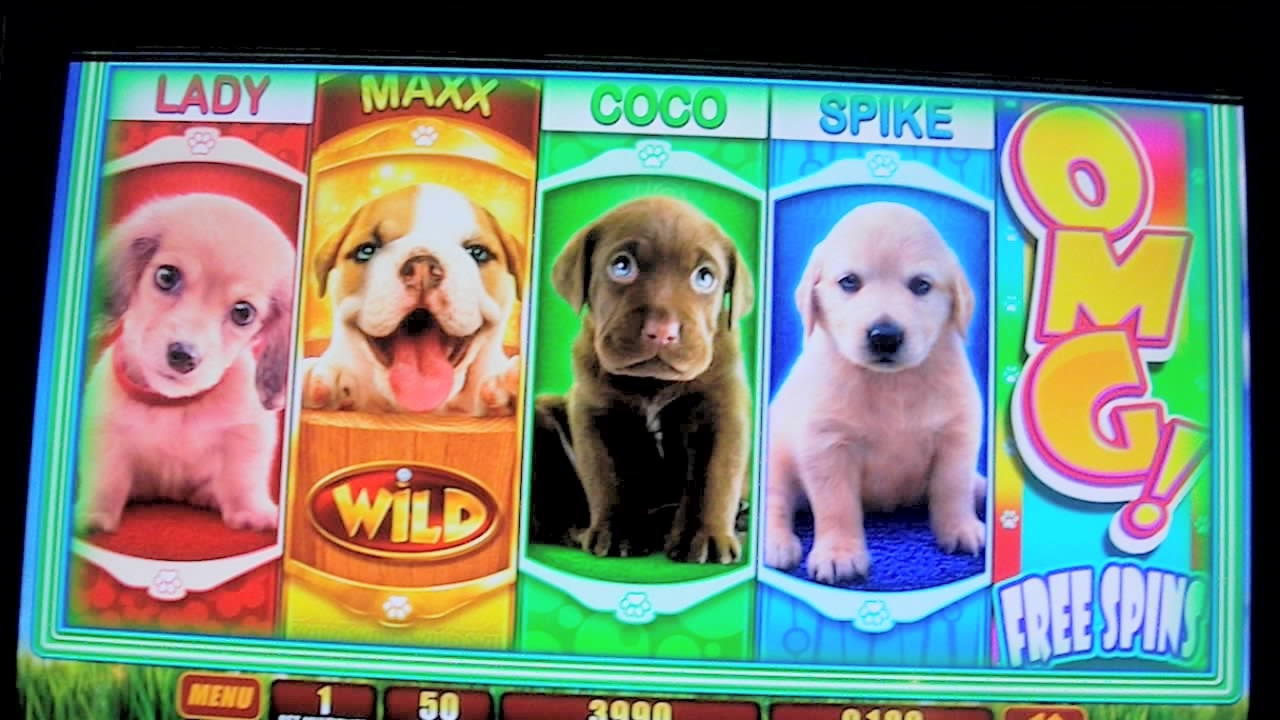 205% Signup Casino Bonus at Genesis Casino