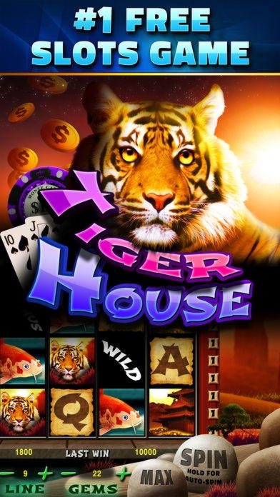 ﻿$250 Casino Tournament at CasiPlay Casino