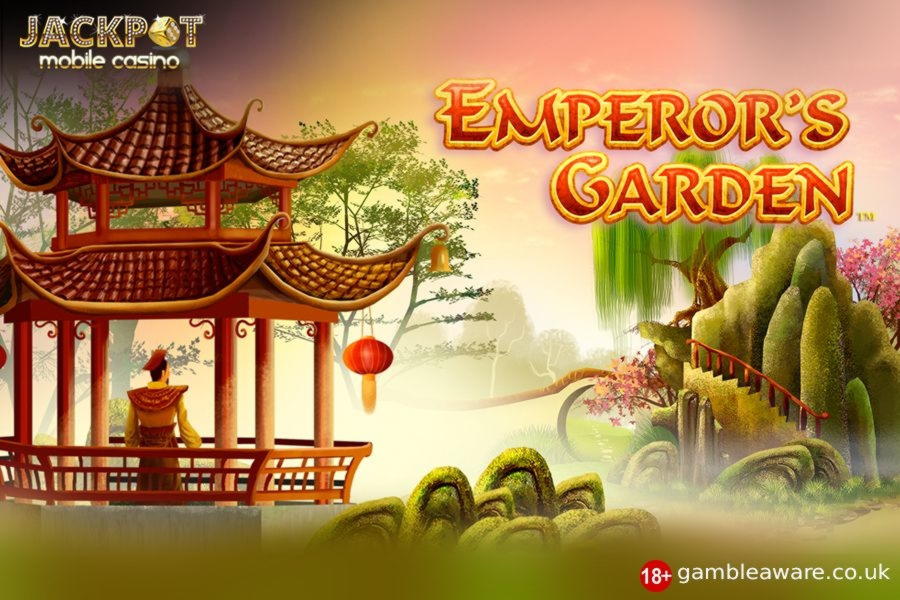 655% No Rules Bonus! at Alf Casino