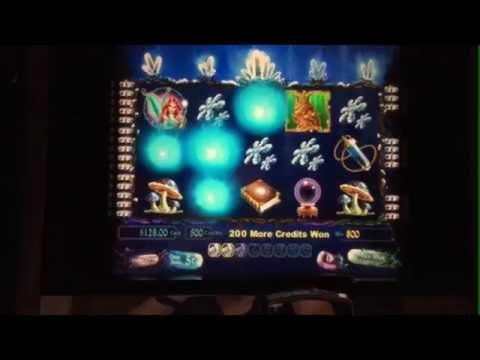 $80 Online Casino Tournament at Wild Blaster Casino