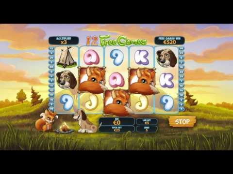 EUR 585 no deposit bonus at Alf Casino