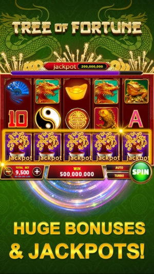 540% No Rules Bonus! at Campo Bet Casino