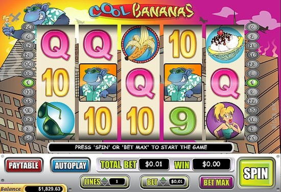 265% No Rules Bonus! at Casino com