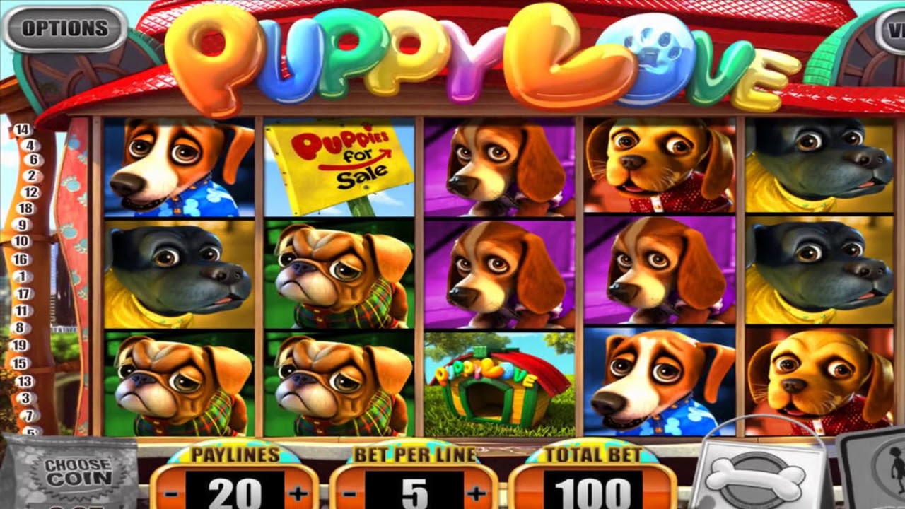 EURO 20 Daily freeroll slot tournament at Casino com