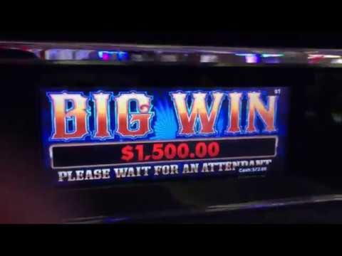 335% Match bonus casino at Campo Bet Casino