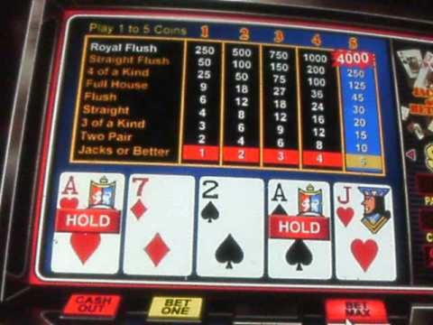 20 free spins no deposit casino at Malina Casino