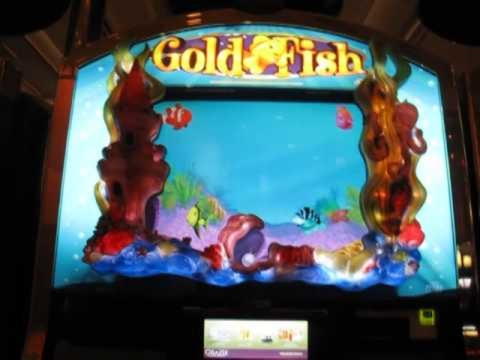 230 free casino spins at Malina Casino