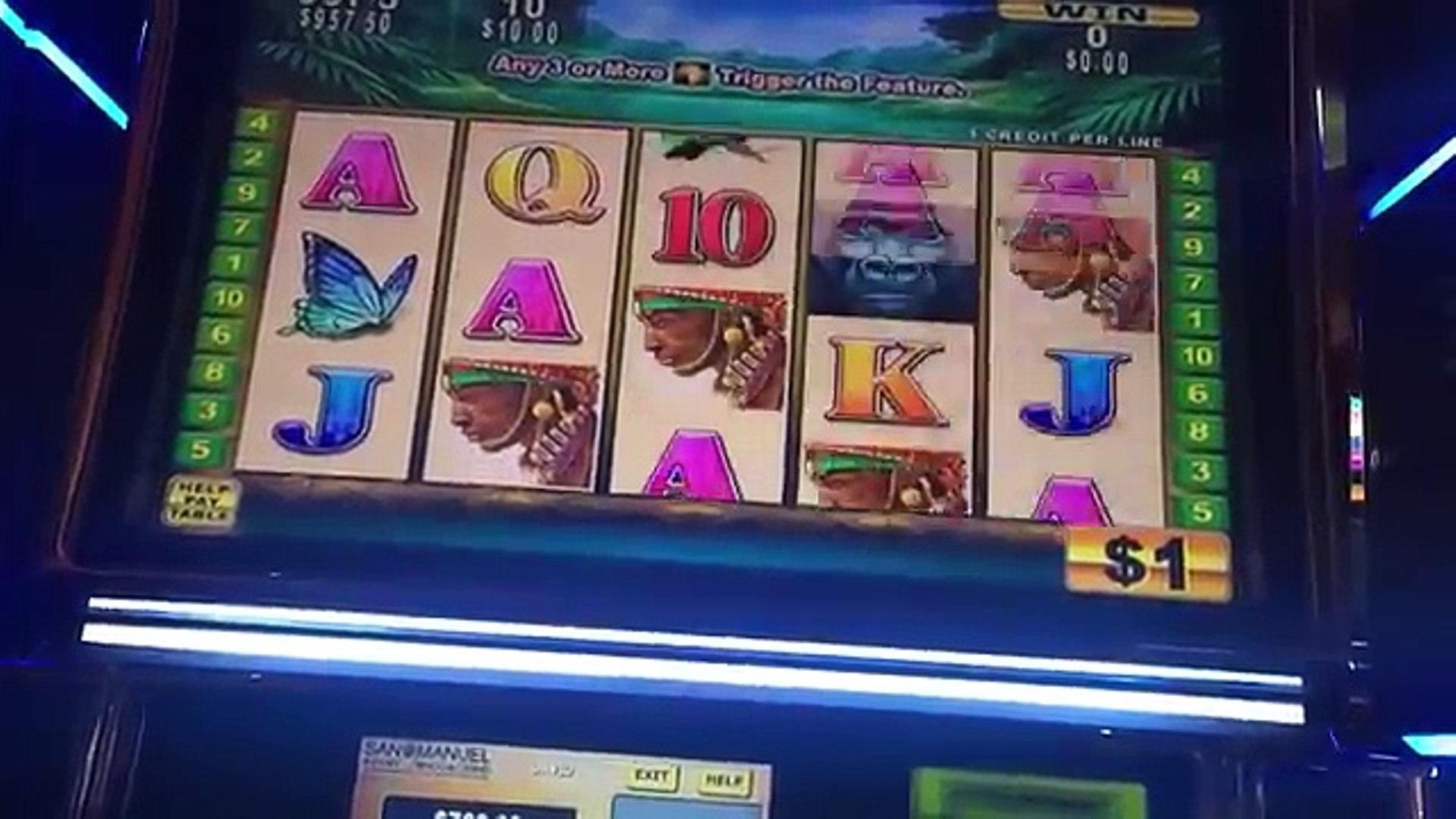 175 Free spins casino at Malina Casino