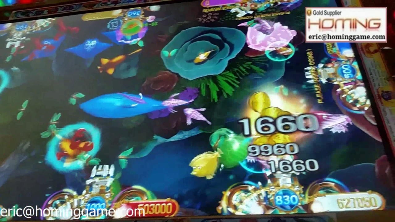 55 FREE Spins at Casinia Casino