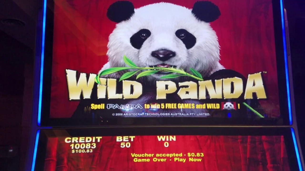 EUR 500 No Deposit Bonus Casino at Wild Blaster Casino