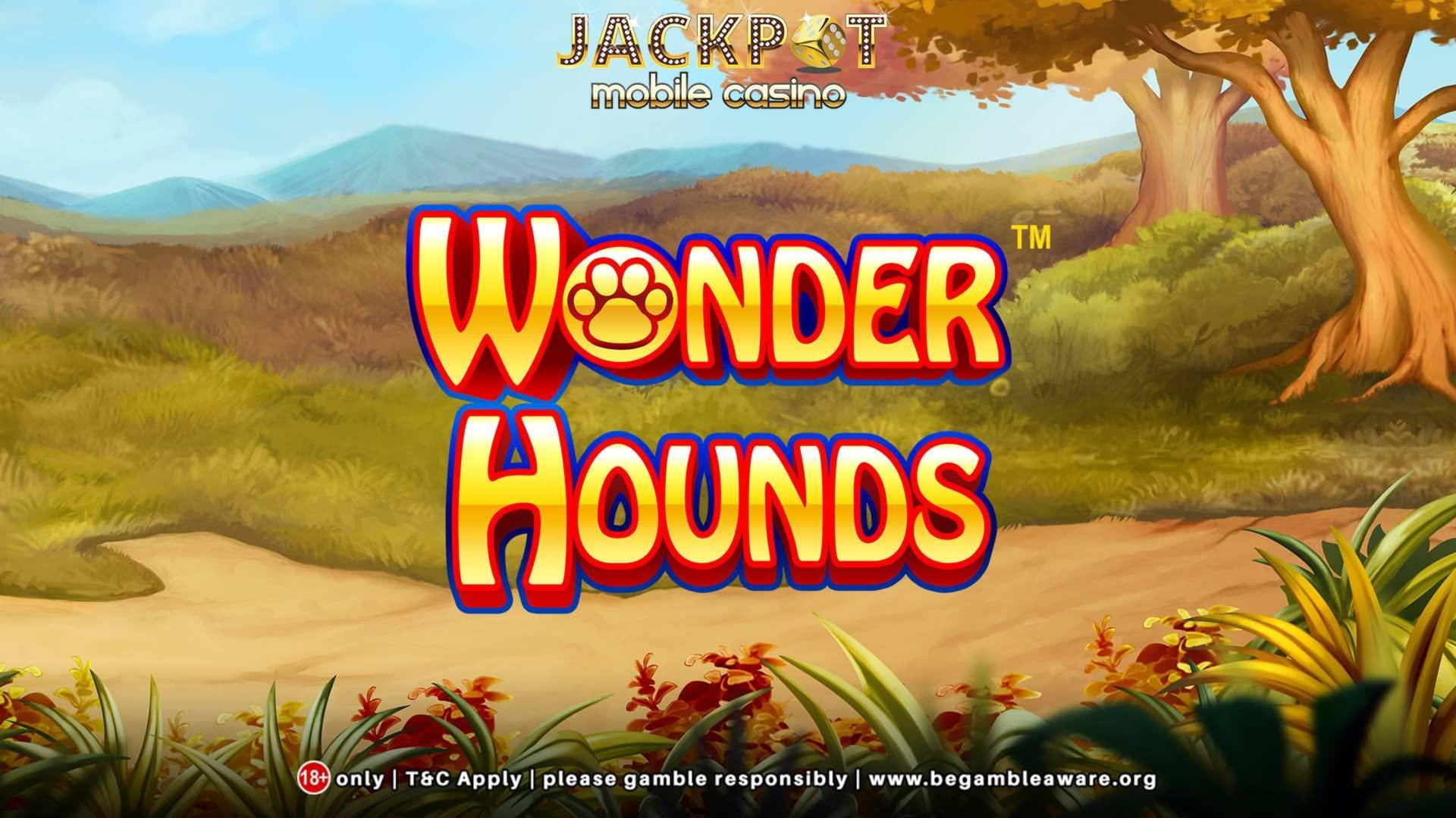 650% First Deposit Bonus at Wild Blaster Casino
