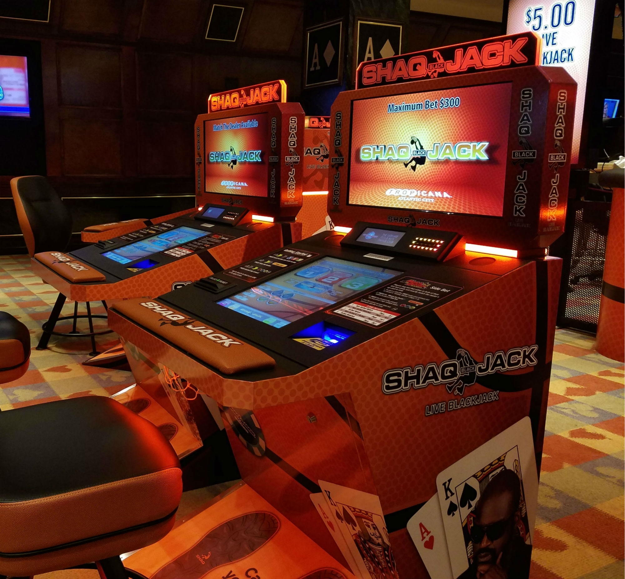850% No Rules Bonus! at Slotty Dubai Casino