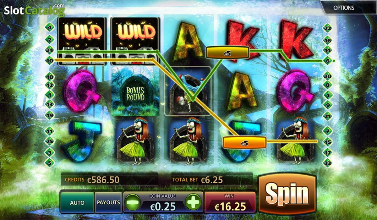 €505 Free chip at Wild Blaster Casino