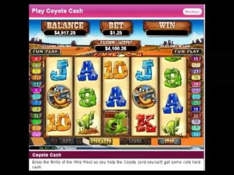 205% Match Bonus Casino at Platin Casino