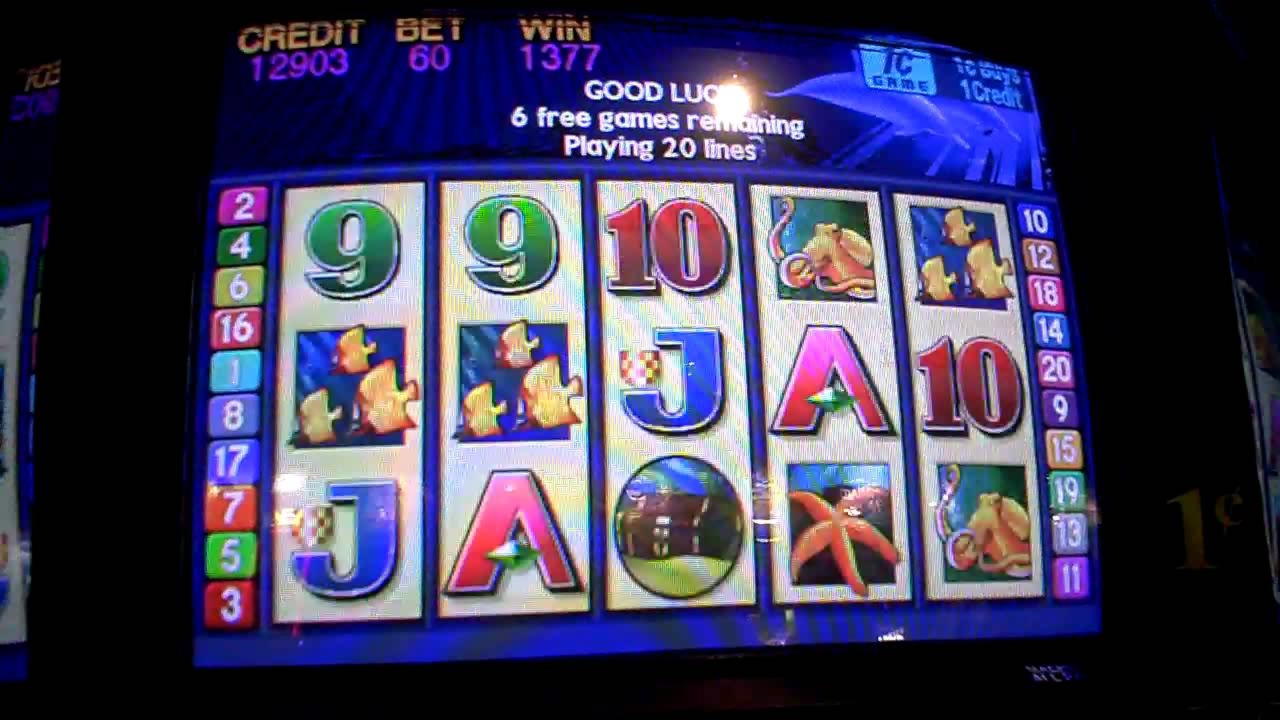 $600 Free Cash at Campo Bet Casino