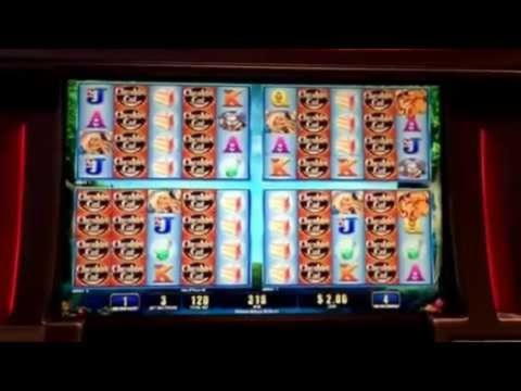 100 Loyal Free Spins! at CasiPlay Casino