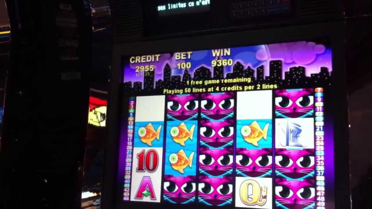 EURO 2220 NO DEPOSIT BONUS CODE at Wix Stars Casino