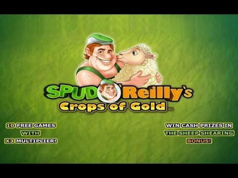 130 free spins no deposit casino at Buran Casino