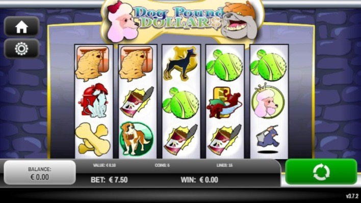 100 Free spins at Casinia Casino