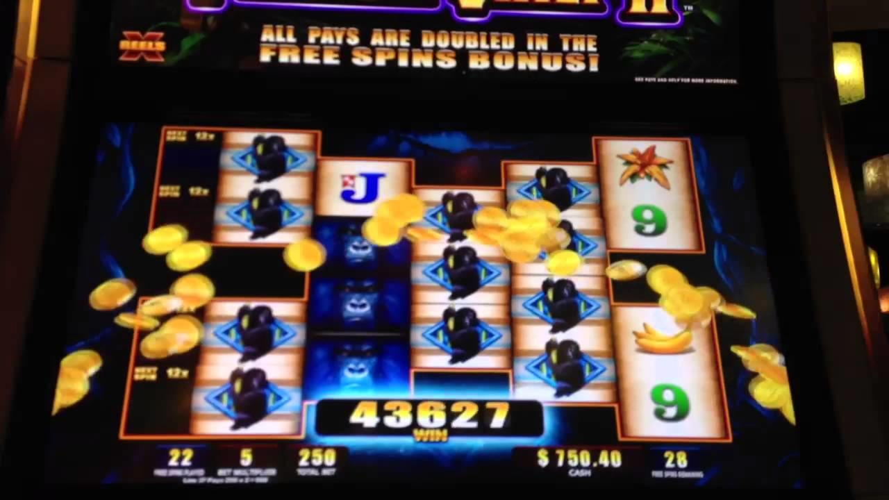 695% Match Bonus at Campo Bet Casino