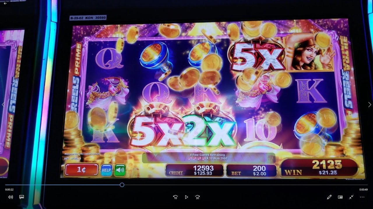 250 Loyal Free Spins! at Campo Bet Casino