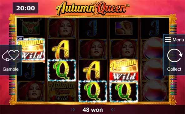 200% Match Bonus Casino at Wild Blaster Casino