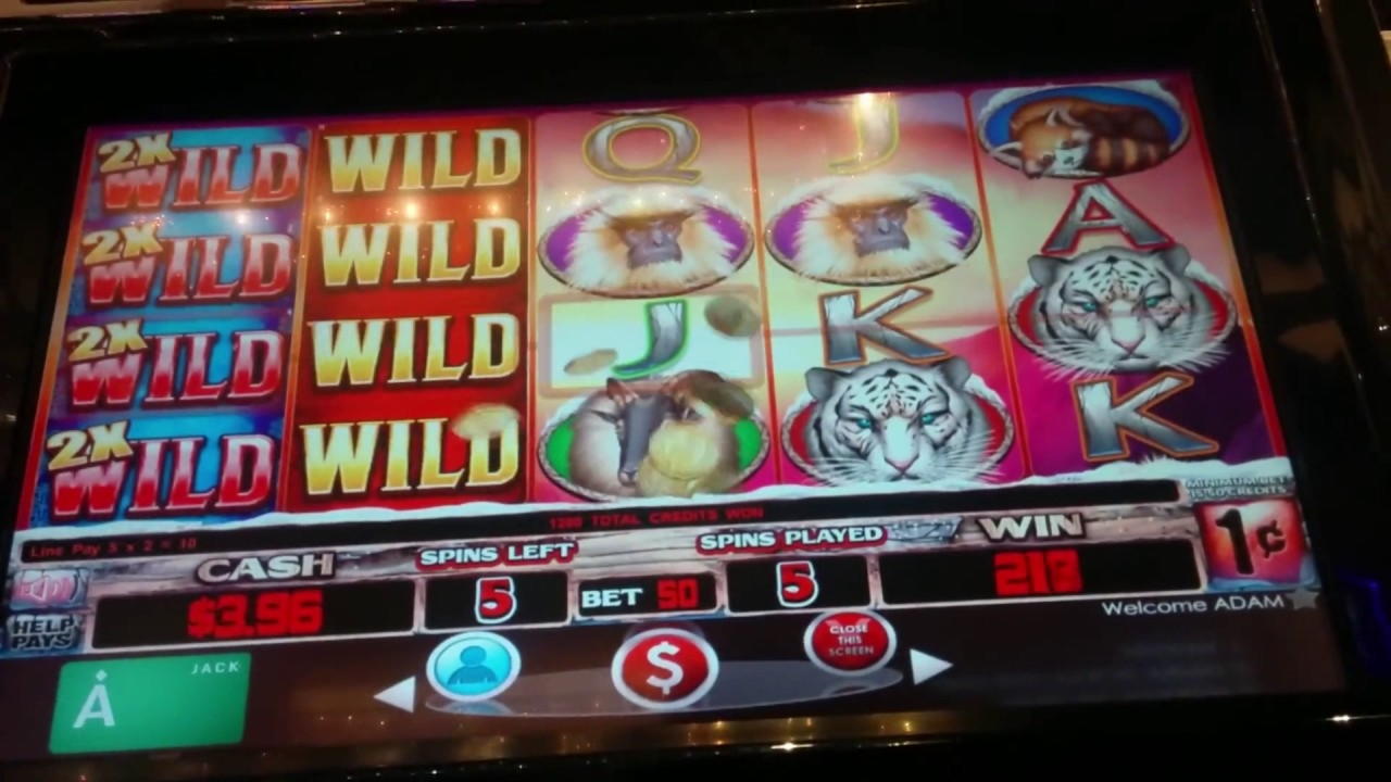 50 Free spins casino at Unique Casino