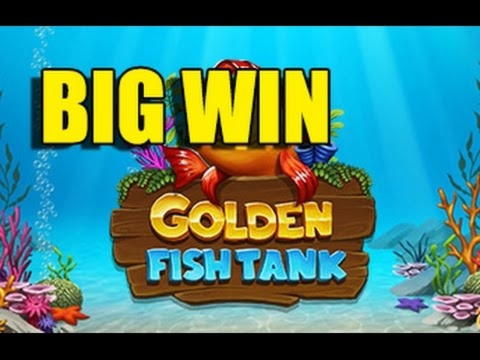 66 Free Casino Spins at Party Casino