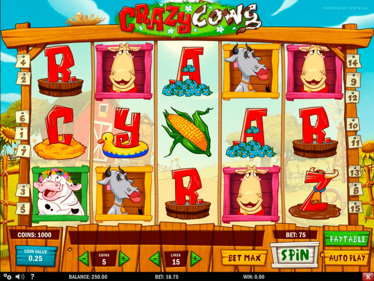 EUR 3385 No deposit bonus casino at Casinia Casino