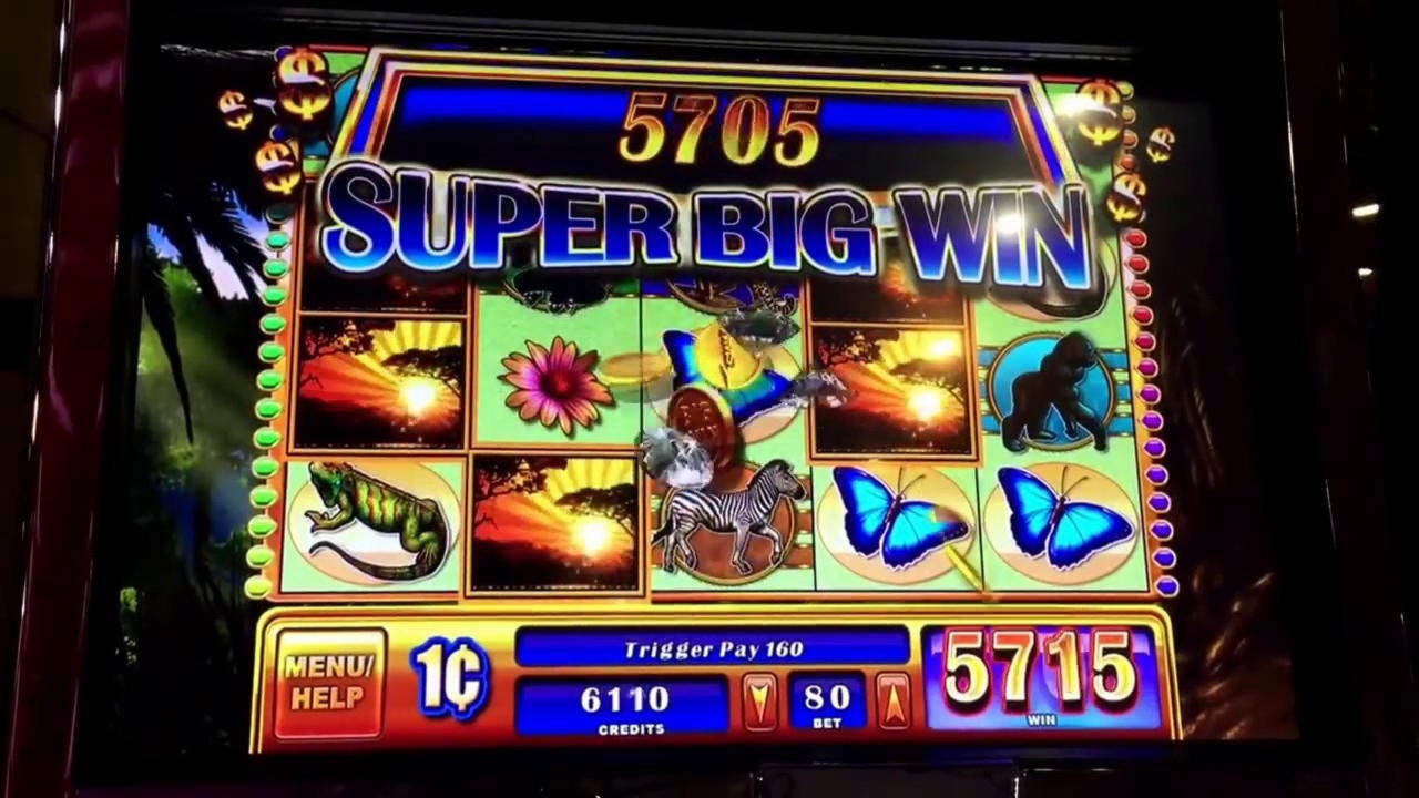 $840 No Deposit Bonus at Dunder Casino