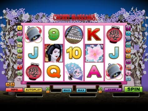 £2440 No Deposit Bonus Code at Casinia Casino