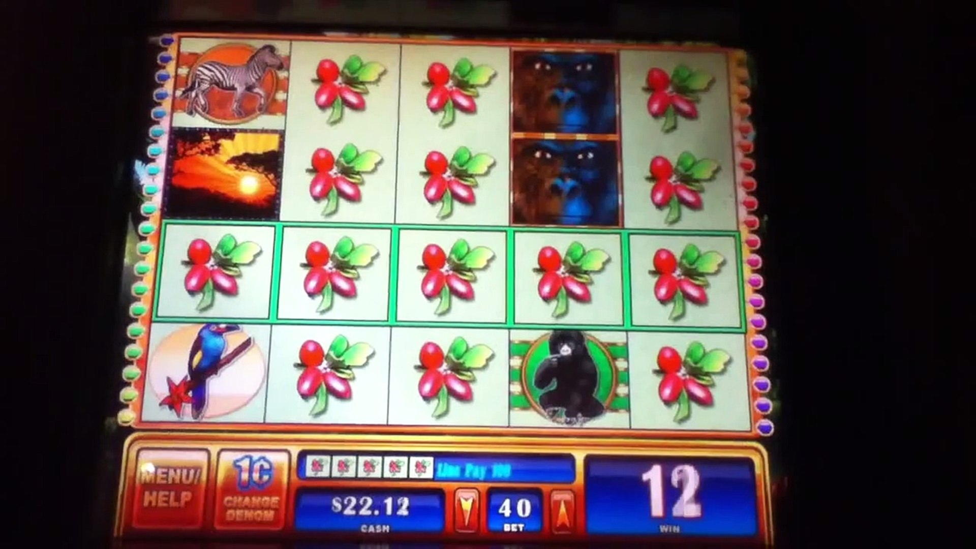 ﻿$145 No Deposit at Boa Boa Casino