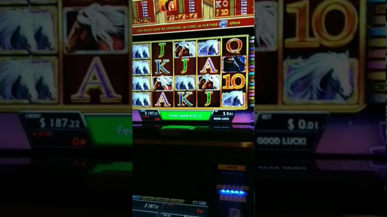 €4905 No deposit bonus casino at Malina Casino