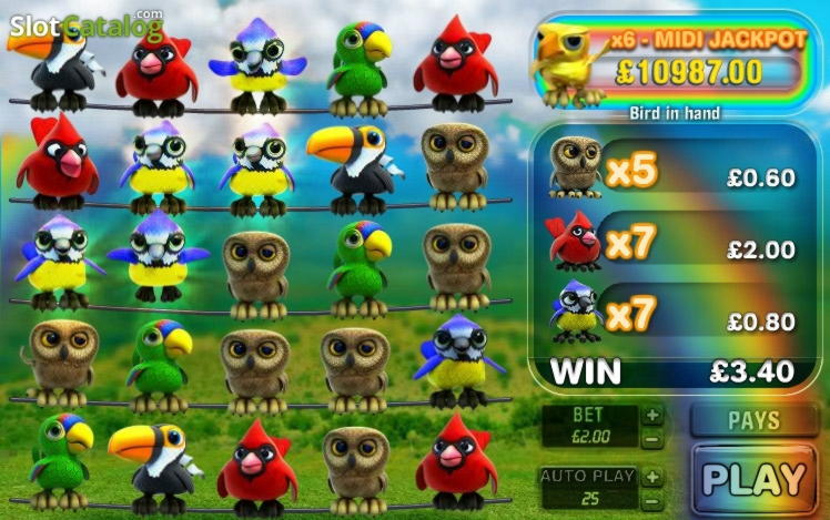 285 free spins at King Billy Casino