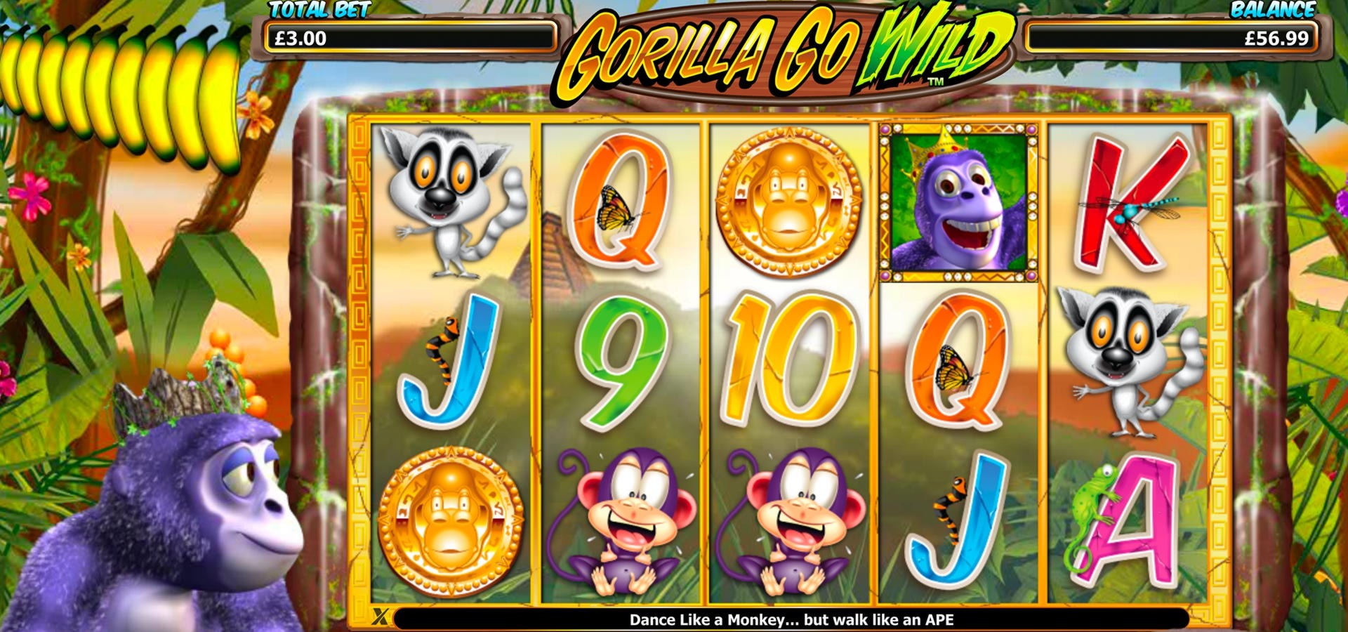 205 free spins no deposit casino at Malina Casino