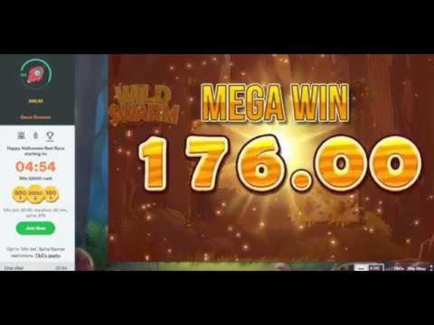 380% Signup Casino Bonus at Campo Bet Casino