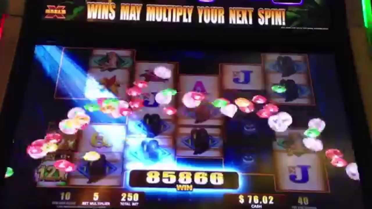 €22 Daily freeroll slot tournament at Cadoola Casino