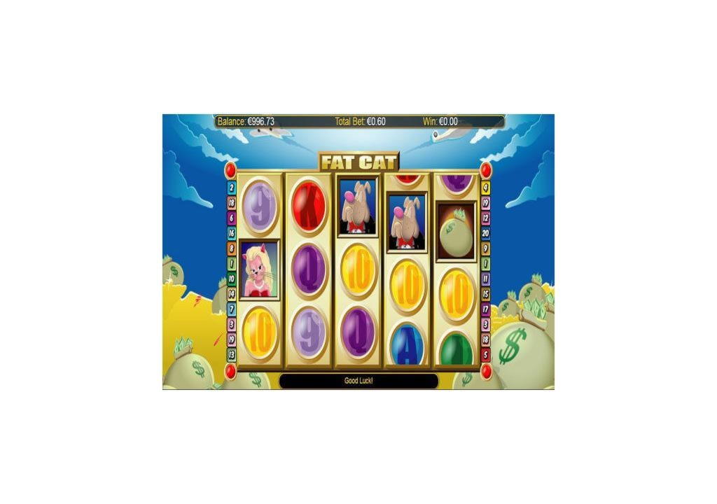 €3675 No Deposit at Campo Bet Casino