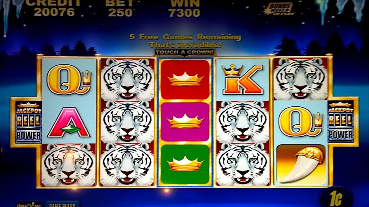 €655 Free chip casino at Reload Bet Casino