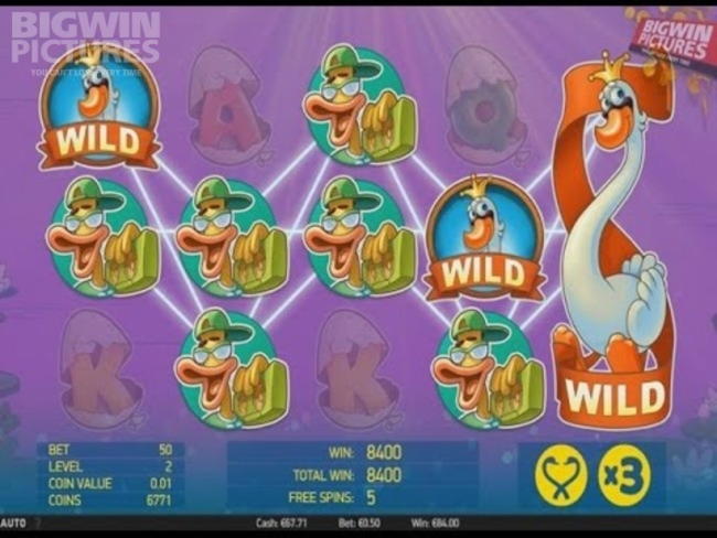 EURO 95 FREE Chip at Zet Casino
