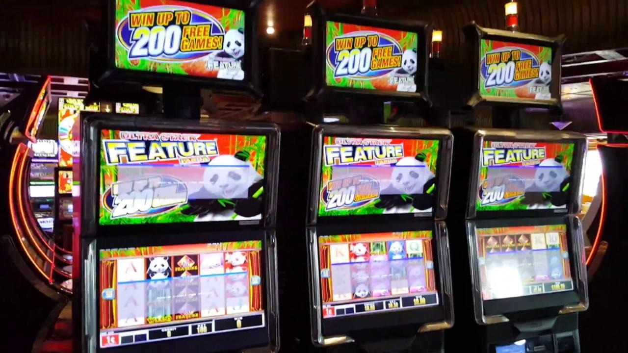 £4880 No deposit at Campo Bet Casino