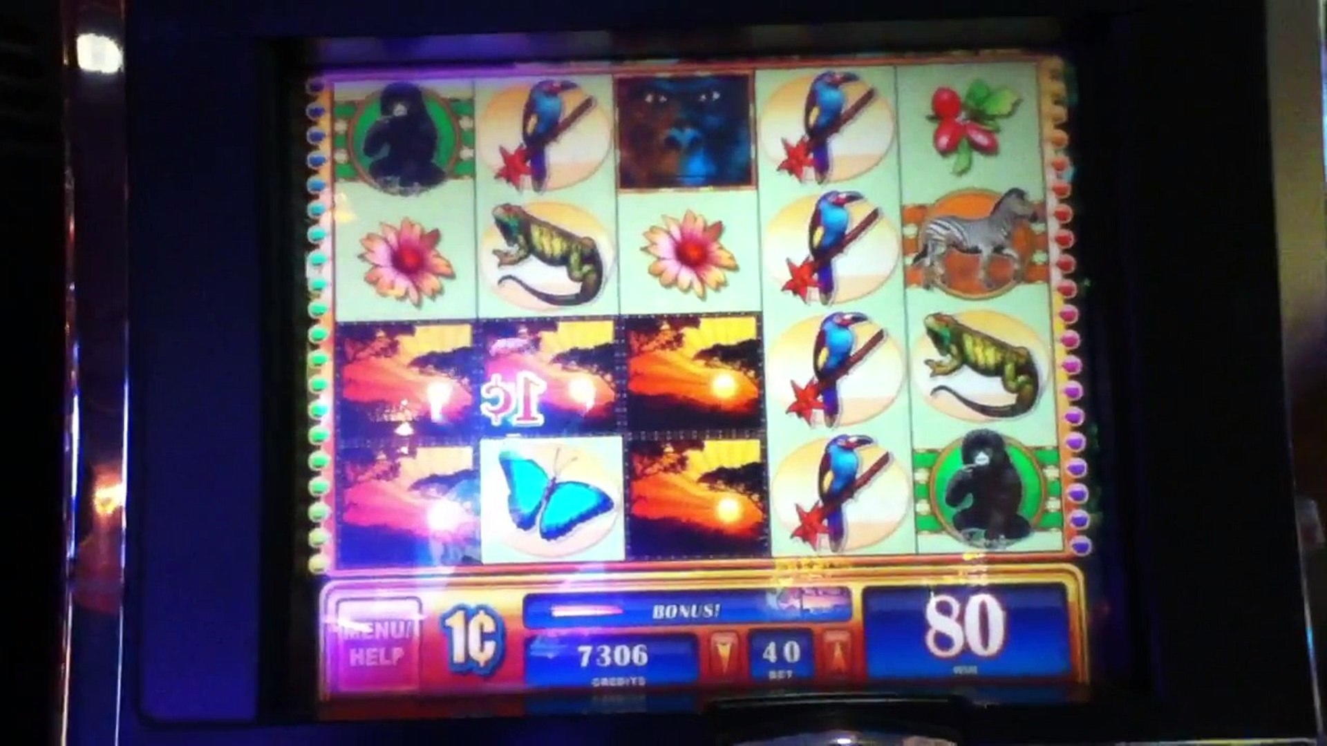 £620 free casino chip at Campo Bet Casino