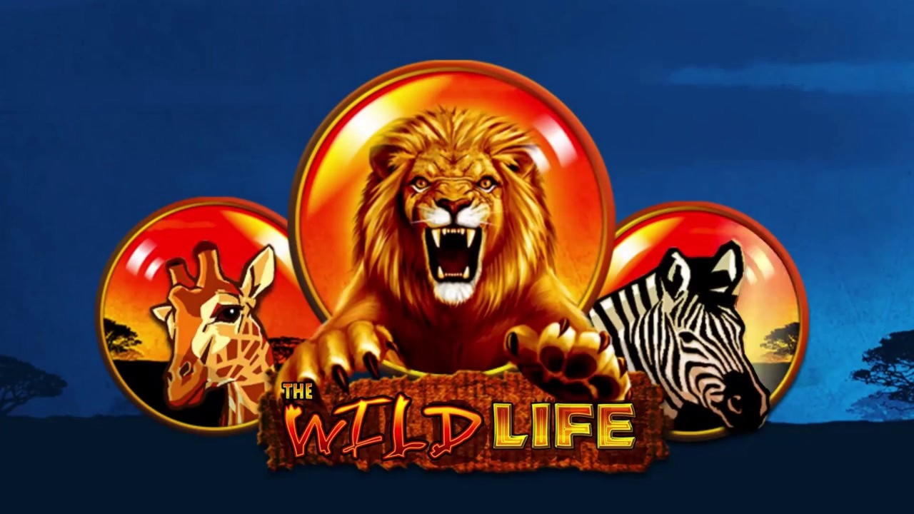 390% Deposit Match Bonus at King Billy Casino