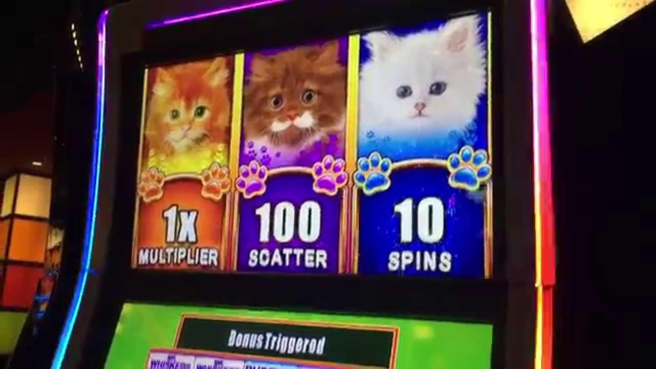 ﻿$1230 No Deposit at CasiPlay Casino