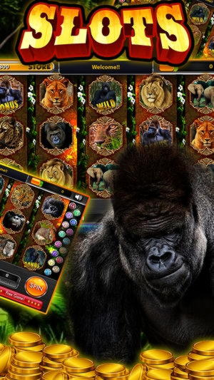 290 Free spins no deposit at Wild Blaster Casino