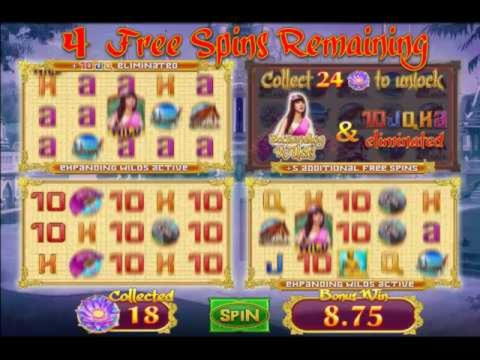 €320 Casino tournaments freeroll at Casinia Casino