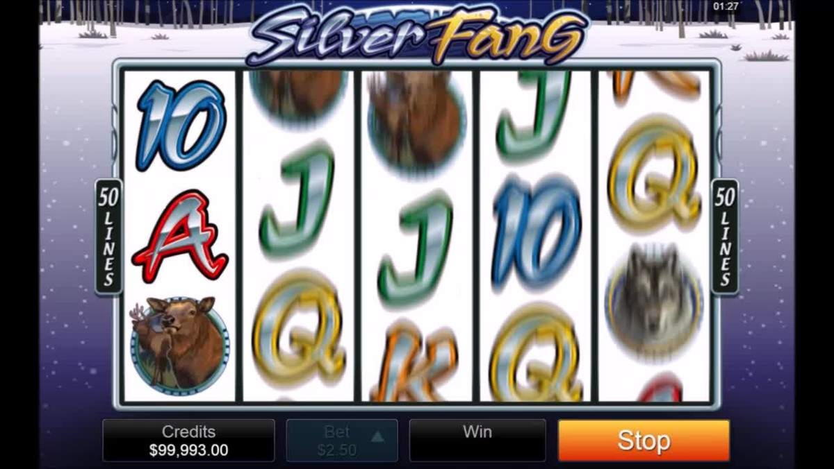 $2265 NO DEPOSIT BONUS CODE at Slotty Dubai Casino