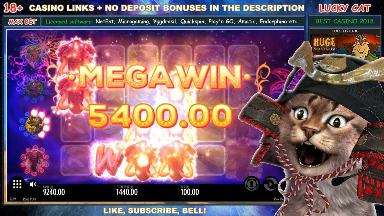 145 Loyalty Free Spins! at LSbet Casino